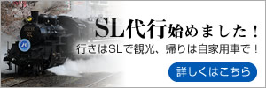 SL代行